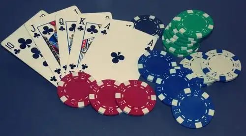 Tampilan aplikasi resmi amatogel di ponsel
